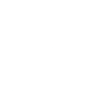 Lifeship Logo